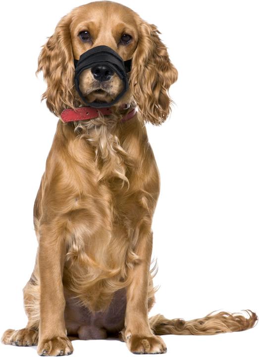 Immagine prodotto Karlie Comfort della museruola (3, Cane, Passeggiare)
