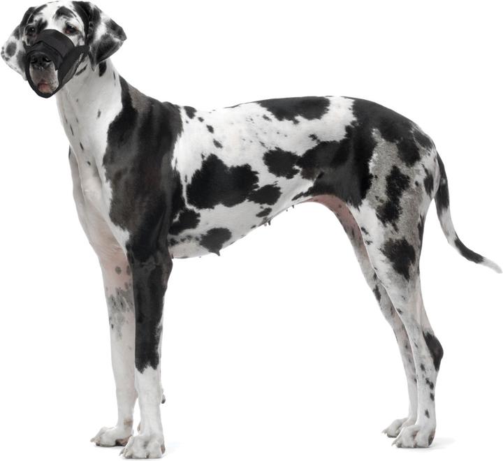Immagine prodotto Karlie Comfort della museruola (3, Cane, Passeggiare)