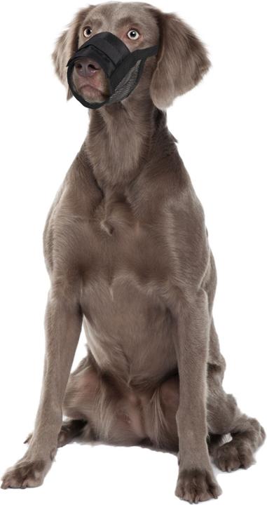 Immagine prodotto Karlie Comfort della museruola (3, Cane, Passeggiare)