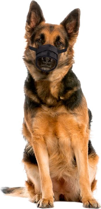 Immagine prodotto Karlie Comfort della museruola (3, Cane, Passeggiare)