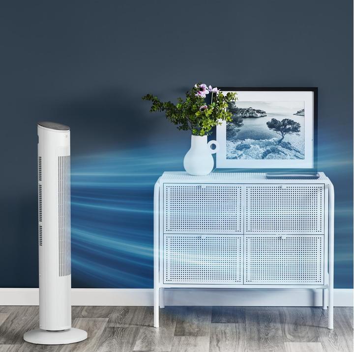 Produktbild Rowenta Eole Ultra VU6871F0 (52 dB)