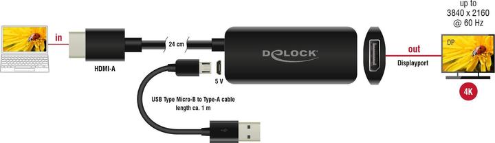 Image du produit Delock HDMI vers (DP, 24 cm)