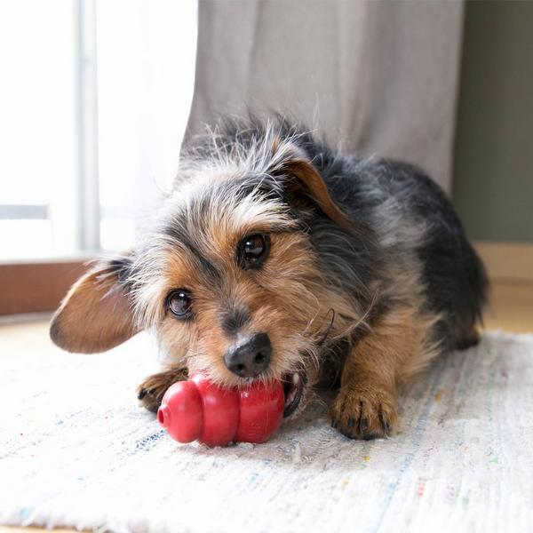 Produktbild KONG Classic (Apportieren, Futterspielzeug Hund, Kauspielzeug Hund)