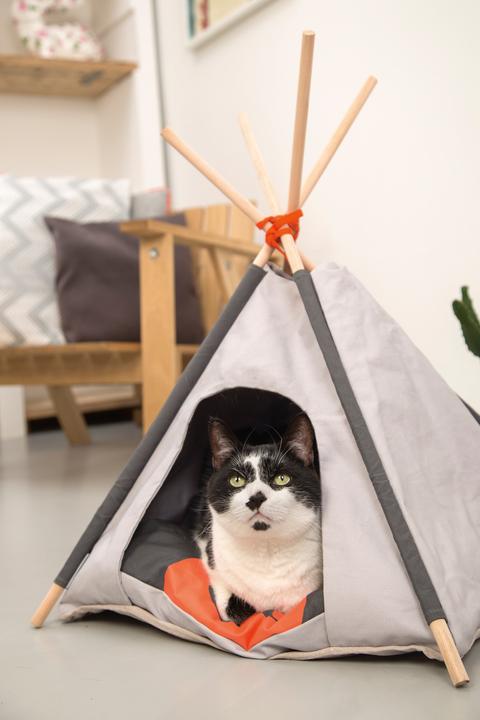 Productafbeelding Beeztees Tipi Tent (Kat)