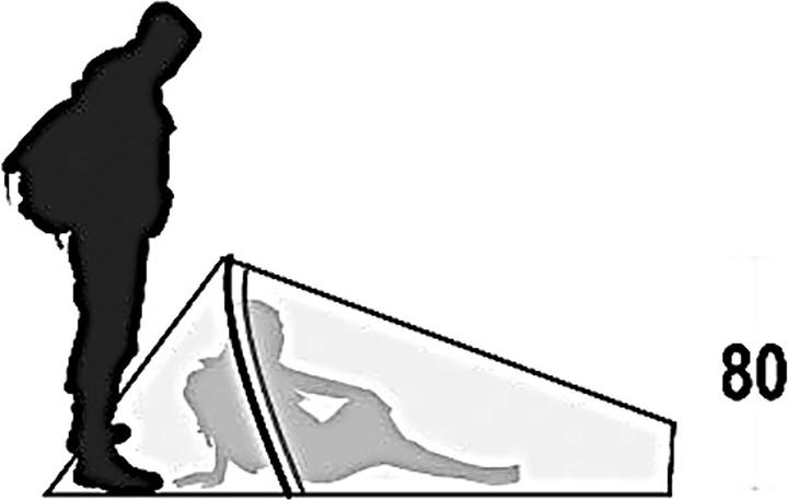 Immagine prodotto Ferrino Sintesi (Tenda a tunnel, 0.99 kg, 1 persona)