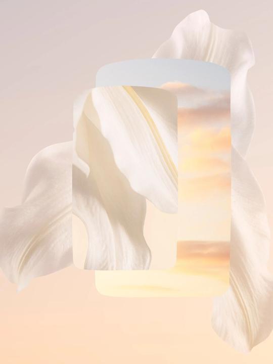 Immagine prodotto Cartier Meringa Volé (Eau de parfum, 30 ml)