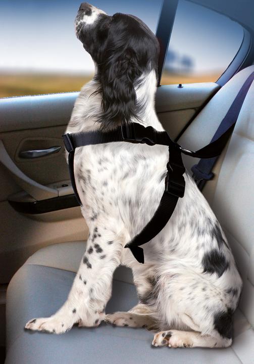 Karlie Car dog harness (Dog, Foldable, Lockable)