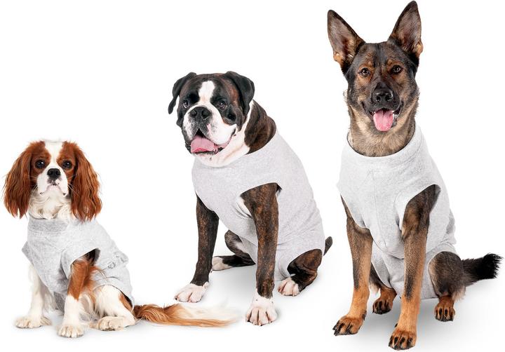 Immagine prodotto Karlie Corpo di sicurezza per cani, grigio (32, Gilet per cani)