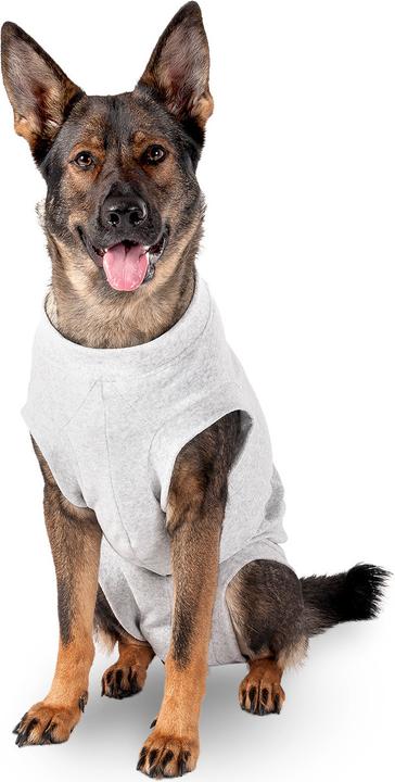 Immagine prodotto Karlie Corpo di sicurezza per cani, grigio (60, Salopette per cani)