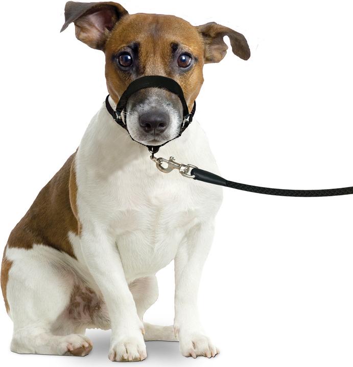 Produktbild Karlie Easy Leader (L, Hund, Allgemein)