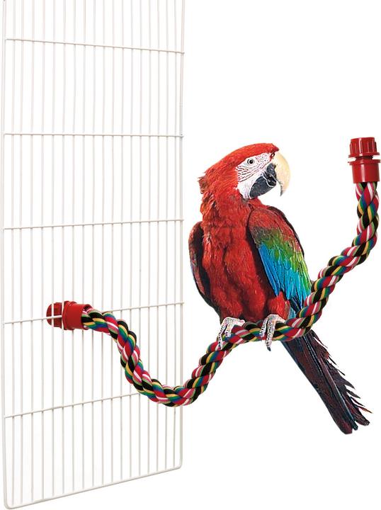 Actual product image Karlie Perches cotton
