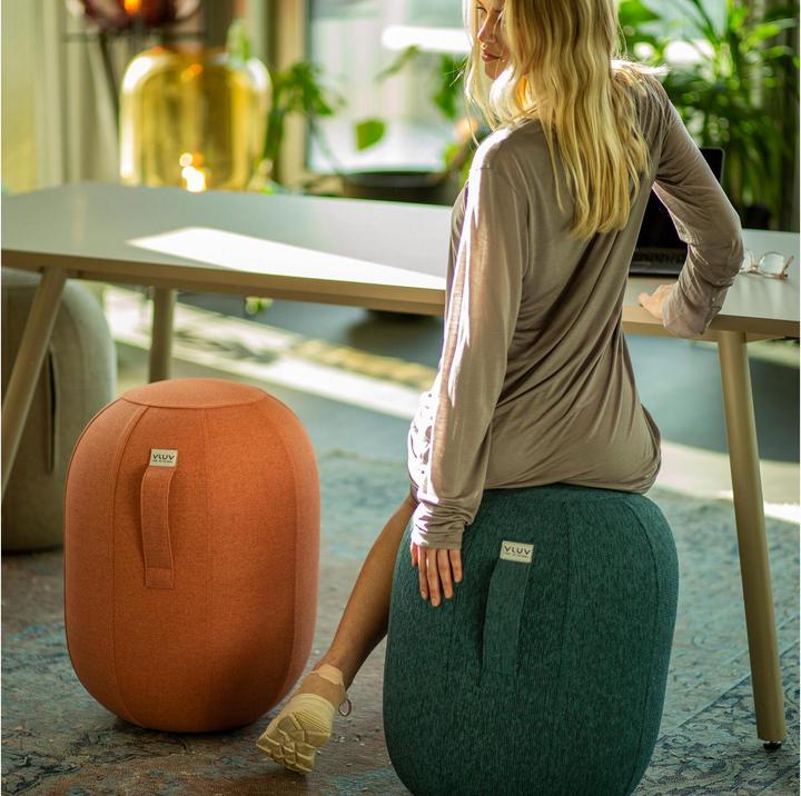 Actual product image Vluv Kapsul Stov (43.50 cm)