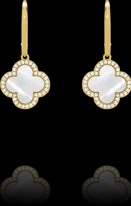 Actual product image Charles Garnier Earrings in gilded silver, mother-of-pearl, zirkonium oxide