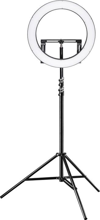 Produktbild Walimex pro 4er Set WT-806 (256 cm, 6 kg)