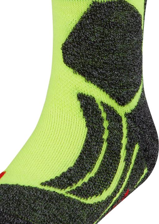 Actual product image Falke SK2 Stripes Kids (35 - 38)