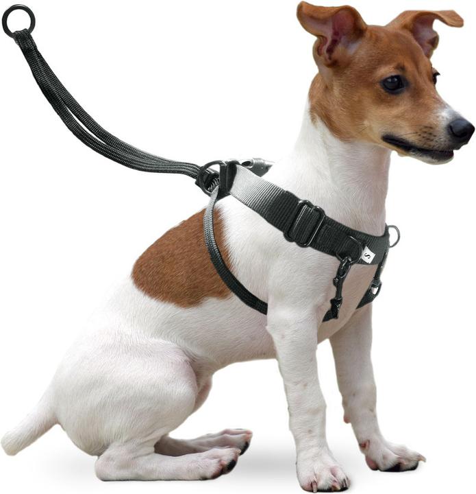 Actual product image Karlie Easy Walker (L, Dog, Walks)