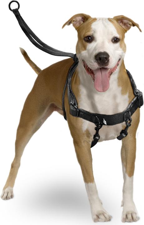 Actual product image Karlie Easy Walker (L, Dog, Walks)