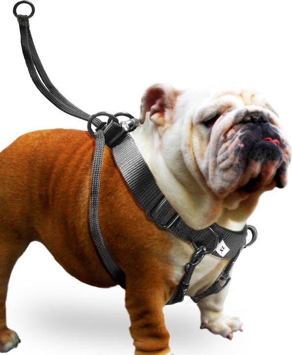 Actual product image Karlie Easy Walker (L, Dog, Walks)