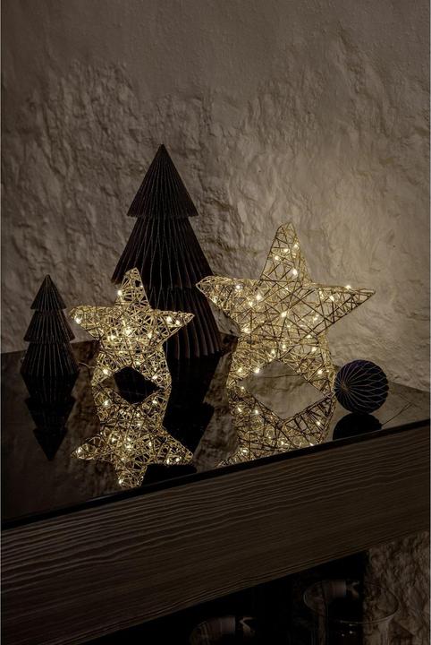 Image du produit STT Gold standing star
