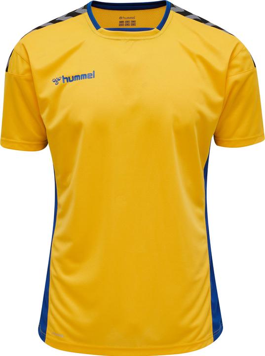 Actual product image hummel Authentic Poly Jersey S/S (L)