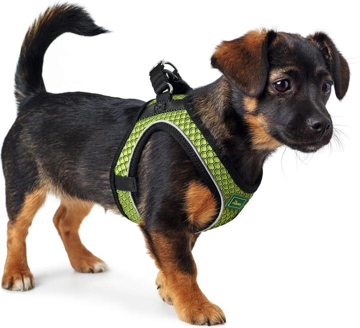 Produktbild Hunter Hundegeschirr Hilo Comfort (M, L, Hund, Allgemein)
