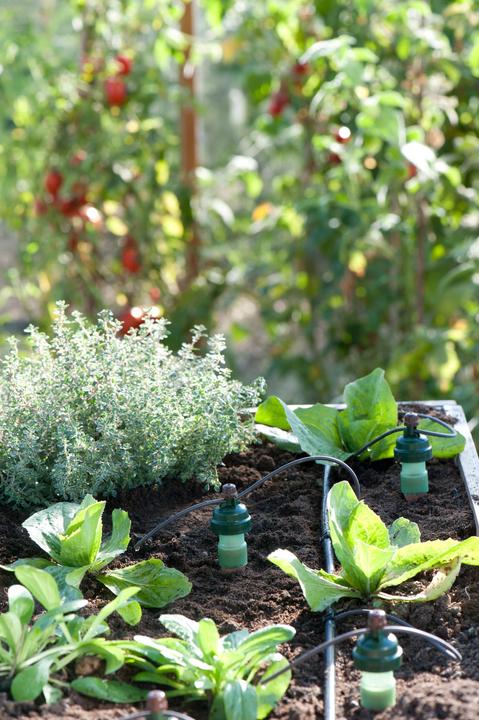 Image du produit Blumat Connecteur de tuyau (Irrigation goutte à goutte Connecteur + dérivation)