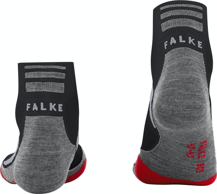 Actual product image Falke BC5 Short (41)