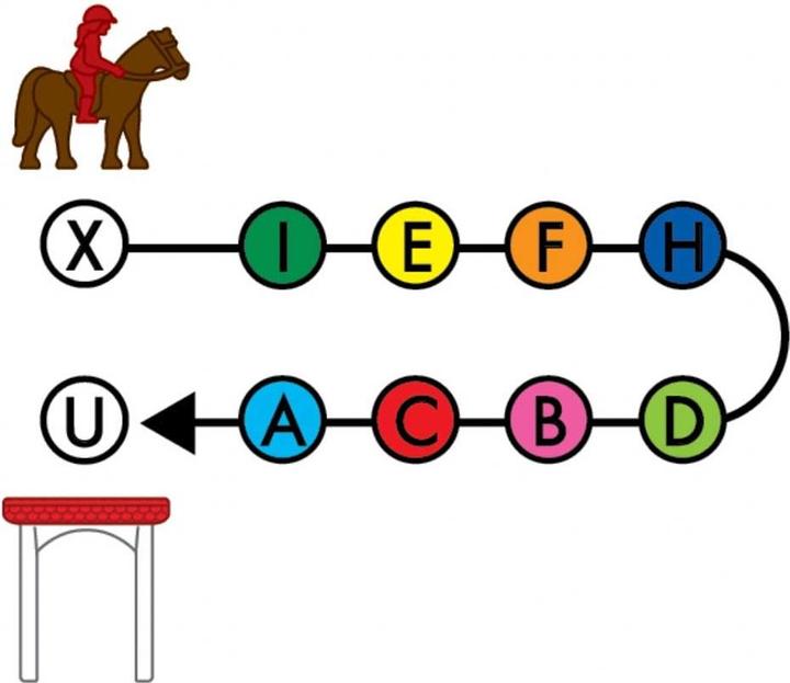 Immagine prodotto Smart Games Accademia del cavallo (Tedesco, Francese, Italiano, Inglese)