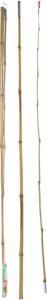 Actual product image Fishing rod bamboo, 2mtr. (200 cm)