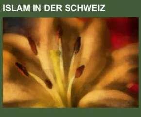 Immagine prodotto Islam in der Schweiz (Tedesco, 2013)