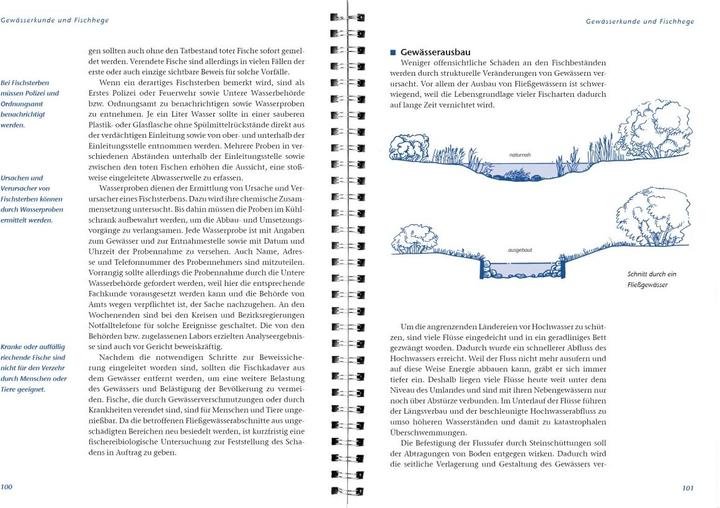Immagine prodotto Arbeitsbuch Fischerprüfung (Tedesco, Manfred Hammer, Ernst Heddergott, Michael Möhlenkamp, Libro LV, 2015)