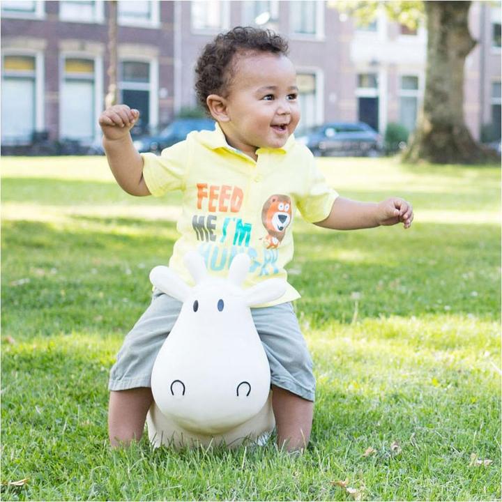 Actual product image BS Jumping cow