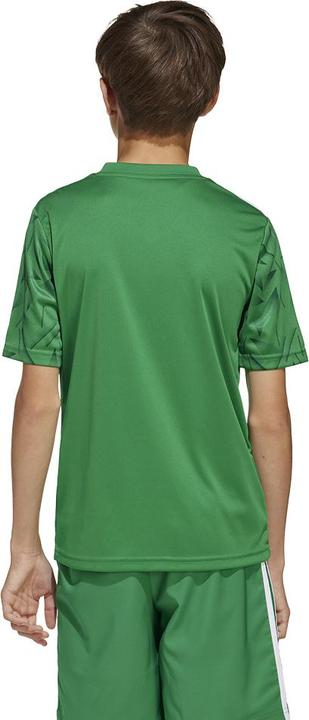 Image du produit adidas Maillot Team Icon 25 Enfants (128)