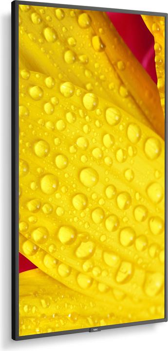 Actual product image Sharp M551-2 55IN UHD 500CD/SQM (3840 x 2160 Pixels, 55")