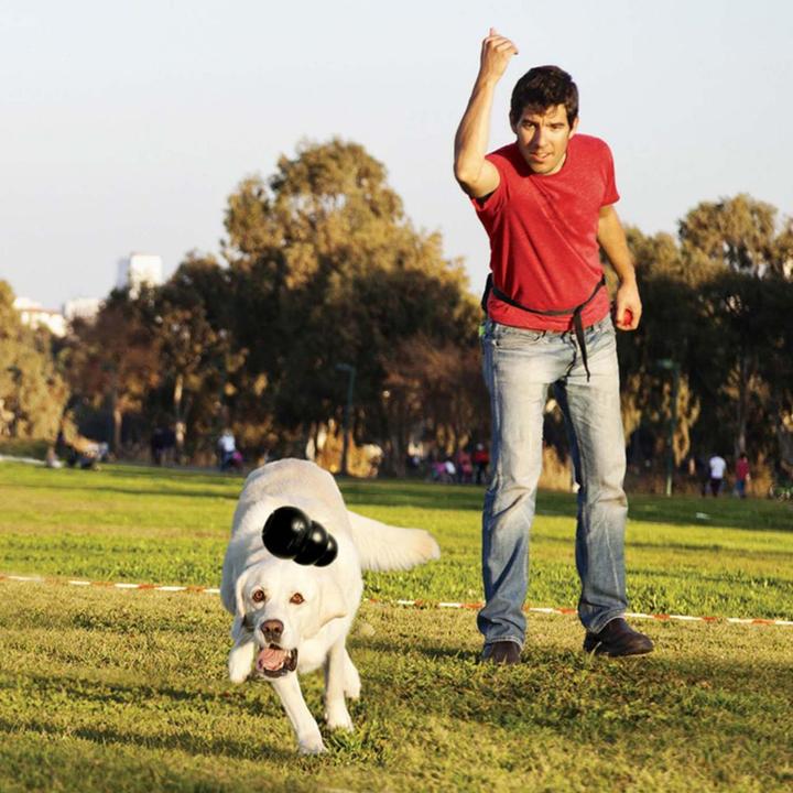 Image du produit KONG Extrême (Jouet à mâcher pour chien, Jouet alimentaire pour chien, Apporter)