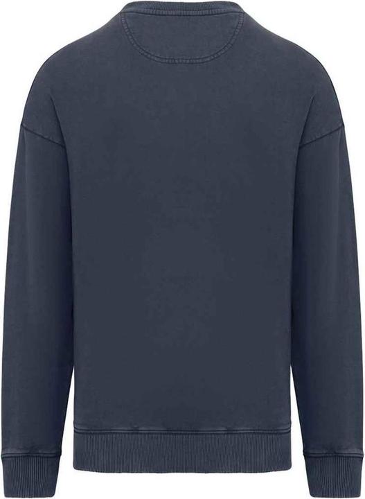 Actual product image Native Spirit Unisex Adult Washed Sweatshirt (3XL)