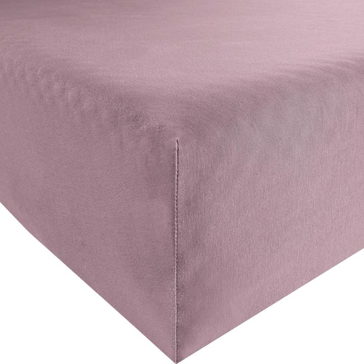 Malva