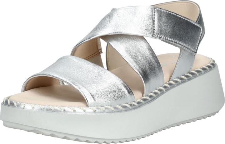 Silver 61