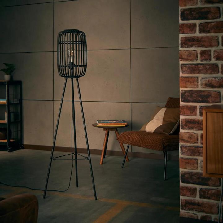 Image du produit Brilliant Woodrow E27 STA1 Lampe sur pied, tripode (E27)