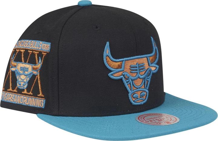 Mitchell & Ness Make Cents Chicago Bulls (One Size)