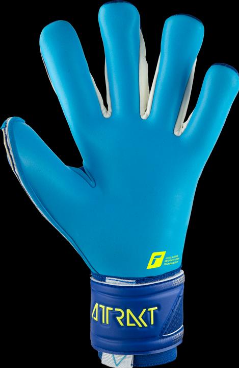 Produktbild Reusch Attrakt Aqua Torwarthandschuh (11)