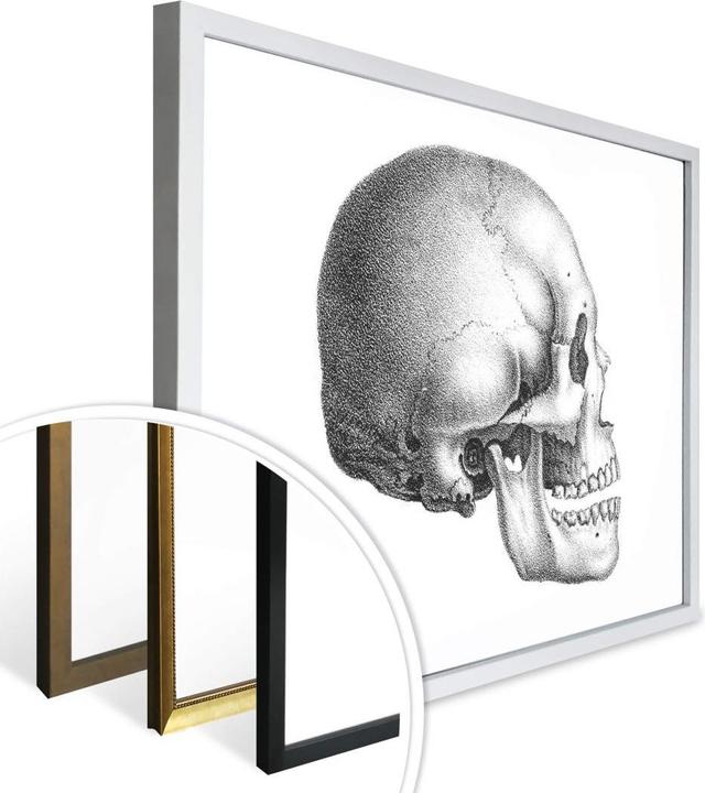 Produktbild Trenddeko Totenschädel 01 (50 x 40 cm)