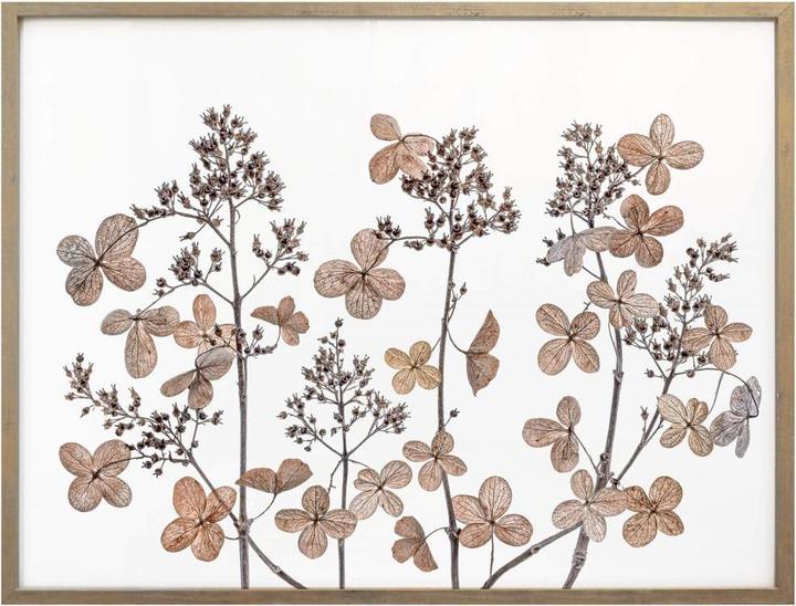 Actual product image Trenddeko Dried flowers (60 x 50 cm)