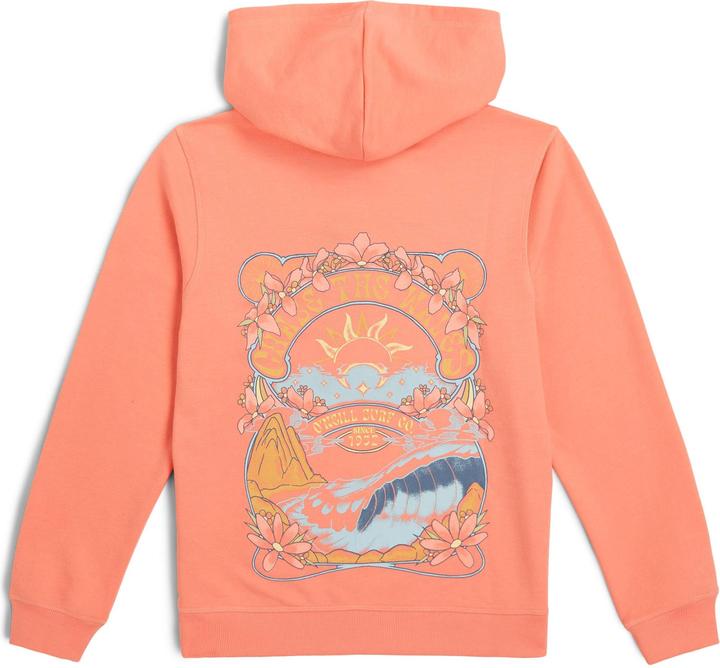 O'Neill Back Print Hoodie