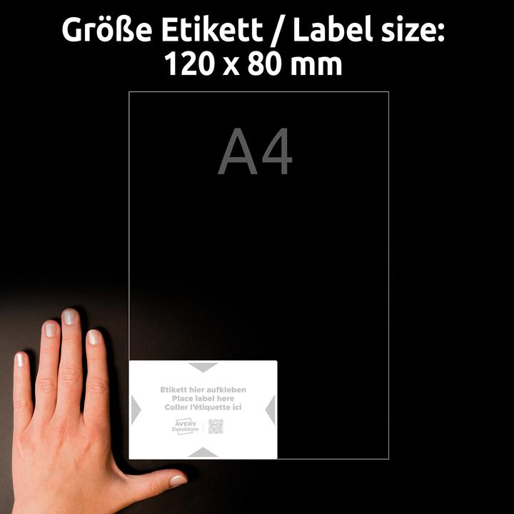 Actual product image Avery Carrier labels