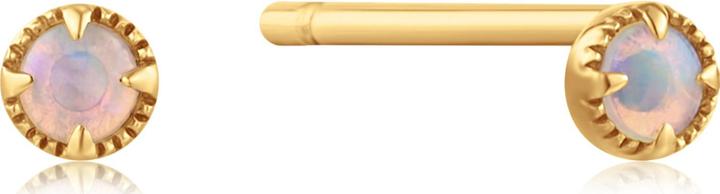 Produktbild Ania Haie 14kt Gold Opal Ohrstecker (585er Gelbgold)