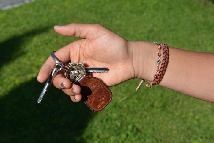 Immagine prodotto Relags - Pinze per zecche Tick Remover Sollevatore di zecche in acciaio inossidabile (Cane)