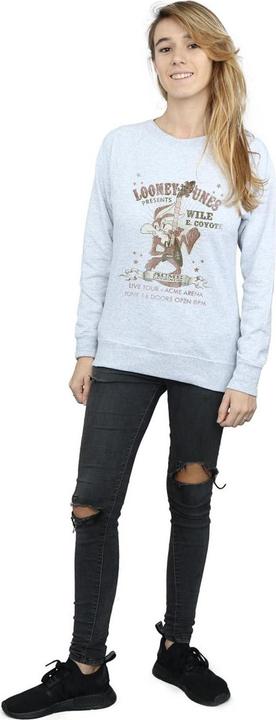 Produktbild Looney Tunes Sweatshirt (L)