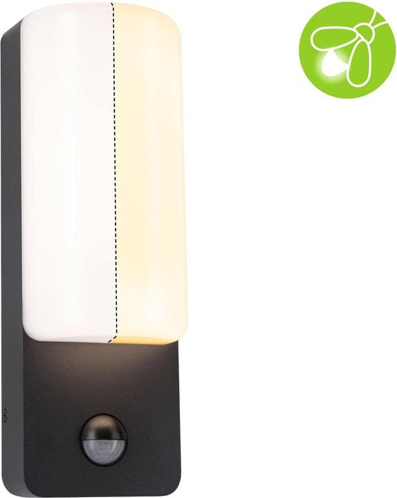 Actual product image Paulmann Bonnie (560 lm, IP44)