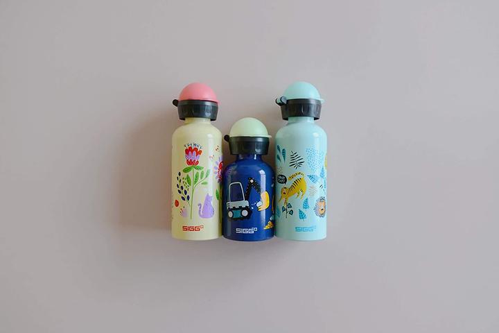 Image du produit Sigg Bottles (0.30 l)